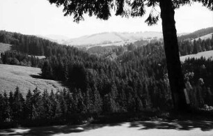 Sibratshofen: Tal von der Straße aus bei Sibratshofen