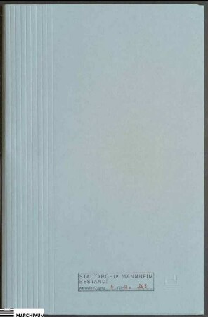 Inventur und Eventualteilung der verstorbenen Ehefrau des Bürgers Ferdinand Wolfgang Anna Maria, eine geborene Krämer, aus Schriesheim
