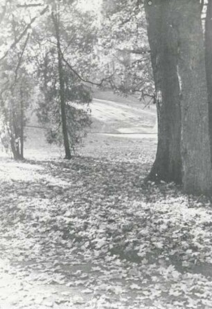 Herbststimmung im Palaisgarten. Detmold. Neustadt. Papierabzug