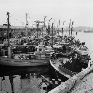 Fischereigenossenschaft Stralsund (FGS). Fischkutter im Hafen