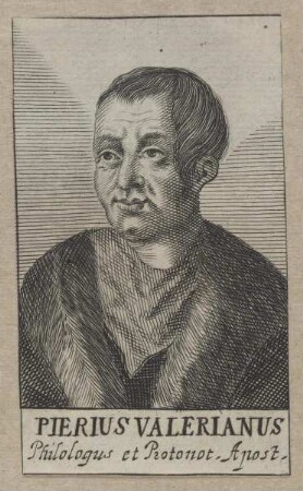 Bildnis des Pierius Valerianus