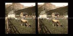 Kirch, Gebäde und Kuhweide auf der Aemsigen Alpe