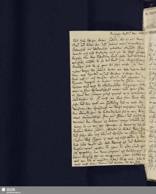 Bl. 247v. Quandt, Bianka an SvC, Julius