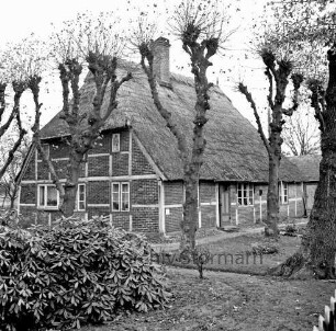 Dorfstraße: Fachwerkhaus mit Reetdach: davor Bäume und Vorgarten