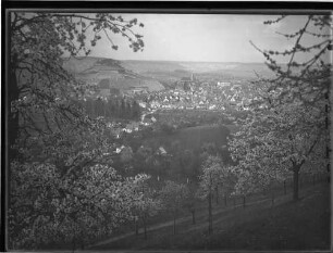 Weinsberg mit Burgruine Weibertreu und der Königlichen Heilanstalt im Hintergrund