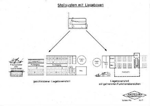 Stallsystem mit Liegeboxen