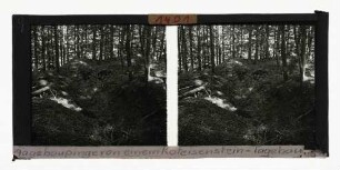 Tagebaupinge eines Roteisenstein-Tagebaus (Haingrube/Kellerwald), etwa 30 Jahre alt, August 1952