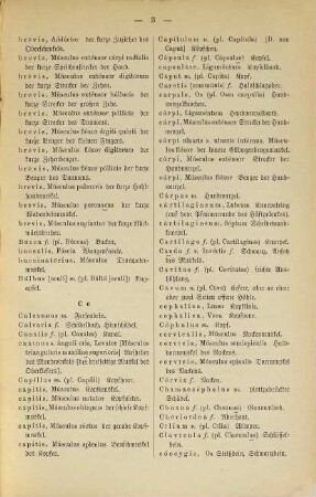 Wegweiser für das Verständnis der Anatomie beim Zeichnen nach der Natur und der Antike : Mit Anhang Lateinisch-Deutsches Wörterbuch zur plastischen Anatomie. Ein Hilfsbüchlein für Nichtlateiner von Marie von Schmid.) 2 Bll., 17 S.