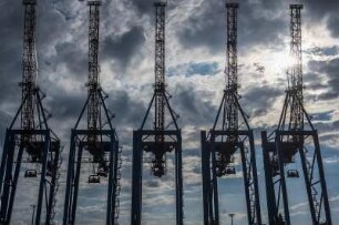 Hamburger Hafen, Blcik von Steinwerder auf Container-Kräne in Waltershof