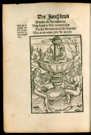 Der Jung brun