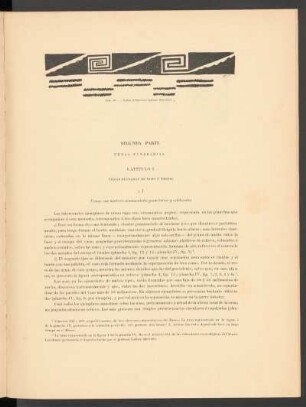 Capítulo I - Urnas pintadas de rojo y negro