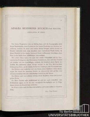 Azalea Sigismond Rücker.