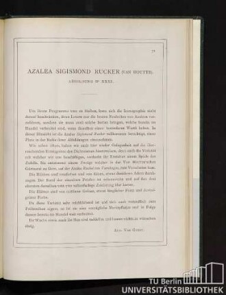 Azalea Sigismond Rücker.