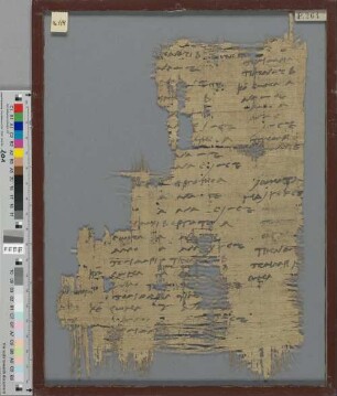 Fragment eines Zenon-Papyrus