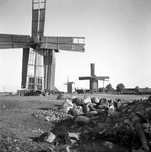 Worms (Kreis Wiek), Windmühlen