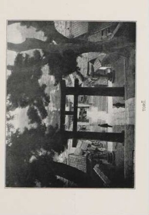 Torii