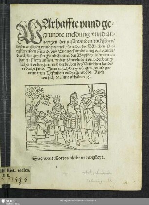 Warhaffte vnnd ge=grundte meldung vnnd an=zaygen der geschwinden, tückischen, bösen anschleg vnnd practick, so wider die Löblichen Pro=testierenden Stend, vnd Euangeliumbs einig verwanten, durch die grossen Feind Gottes, den Bapst,vnd seinem an=hang, fürgenum[m]en ... : vnd ... zu ... verderben des Teütschen lands, erdacht seind.; Jtem vrsach der genötigten, vnnd getrungnen Defension vnd gegenwöhr ...