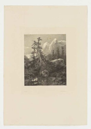 Berglandschaft mit Bach und Bäumen, Blatt 46 der Folge "Werke"