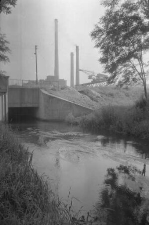 Fischsterben im Neuen Federbach aufgrund von giftigem Spülwasser aus dem Dampfkraftwerk