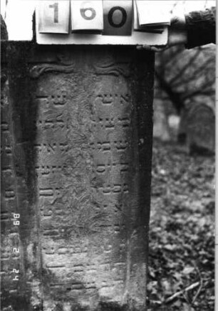 Grabstein 160 (Index: 99751990) Material: Sandstein Zustand: abgeblättert mit großem Textverlust Maße HxBxT: 112x76x13 cm Beschreibung: Doppelstele m. Eselsrückenabschlüssen, Schriftfelder eingetieft Symbolik: Blätter: Grabstein 160A