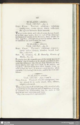 Scalaria minuta. Tab. CCCXC. - figs. 3 and 4