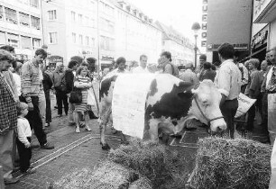 Freiburg im Breisgau: Bauern demonstrieren in der Innenstadt