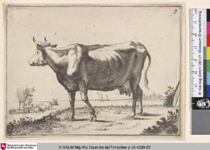 [Nach links gewandte, stehende Kuh, im Hintergrund melkt eine Bäuerin eine stehende Kuh, daneben eine liegende]