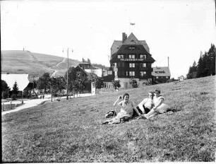 Auf einer Wiese am Feldberger Hof