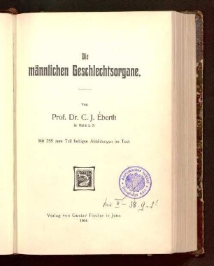 2,[3]: Die männlichen Geschlechtsorgane