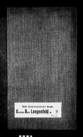 Gerichtshandelsbuch der Stadt Lengenfeld, Bd. 10