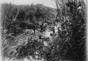 Baden im Fluss (Sammlung Hans Meyer - Herzog-Adolf-Friedrich-Expedition 1907–1908)