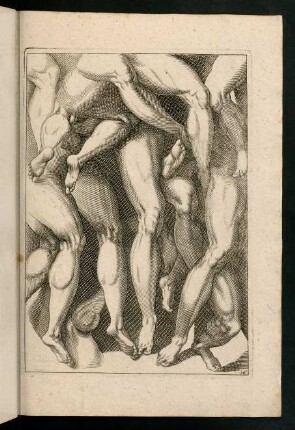 16r-16v, Beine