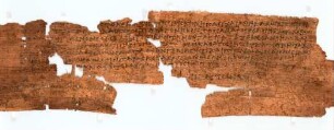 Inv. 21102, Köln, Papyrussammlung