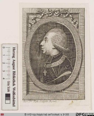 Bildnis Carl Theodor (Anton Maria) Frhr. von Dalberg