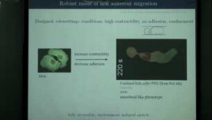 Actin flows in cell migration: from locomotion to trajectories