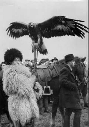 Falken- und Habichtbeize anlässlich der Internationalen Jagd-Ausstellung