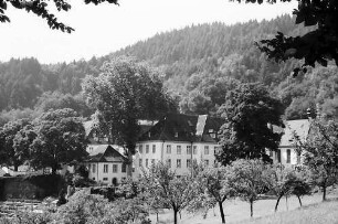 Freiburg i. Br.: Kartaus von Südosten