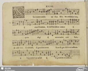 XXIII. Sicut mater consolatur filios