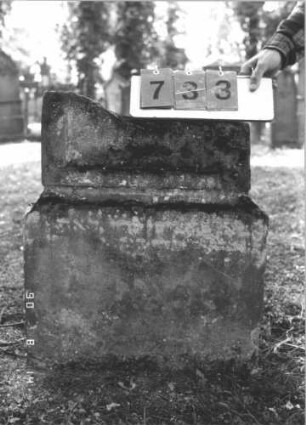 Grabstein 733 (Index: 99787155) Material: Sandstein Zustand: oberer Teil zerbrochen, fehlt Maße HxBxT: 69x58x11 cm: Grabstein 733