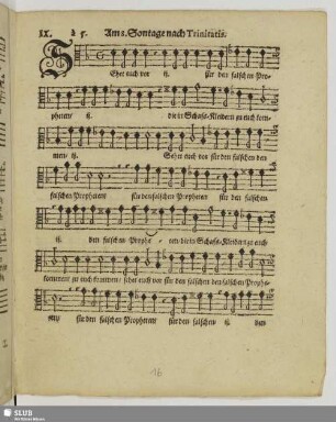 IX. Am 8. Sontag nach Trinitatis: Sehet euch vor