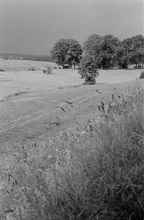 Landschaft im Harz