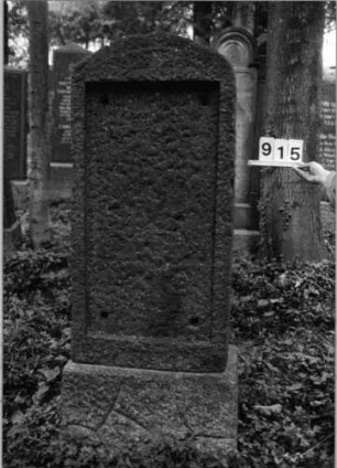 Grabstein 915 (Index: 99802570) Zustand: Inschriftenplatte nicht vorhanden Maße HxBxT: 198x70x31 cm Beschreibung: Sockel, Stele mit Flachbogenabschluß: Grabstein 915