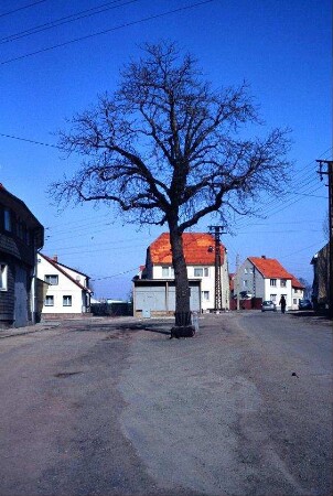 Dorfplatz mit Laubbaum; Gebäude
