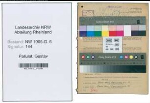Entnazifizierung Gustav Pallulat , geb. 18.10.1903 (Kaufmaennischer Angestellter)