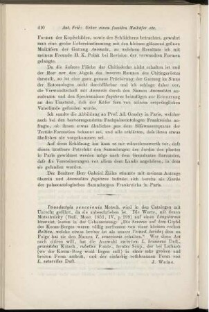 Teinodactyla senecionis Motsch.