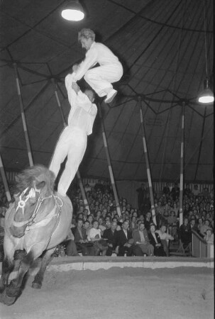 Fontners Reitertruppe, Darbietung der Kunstreiter. Zirkus Olympia? 1955