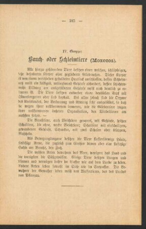 IV. Gruppe: Bauch- oder Schleimtiere (Moxozoa).