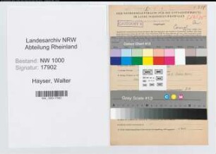 Entnazifizierung Walter Hayser, geb. 23.01.1912 (Bergmann)