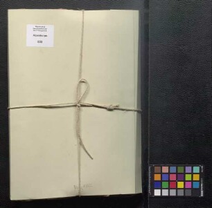 Ersatz und Nachschub: Unteroffiziere, Mannschaften, Pferde, Geräte