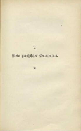 V. Mein preußisches Beamtentum